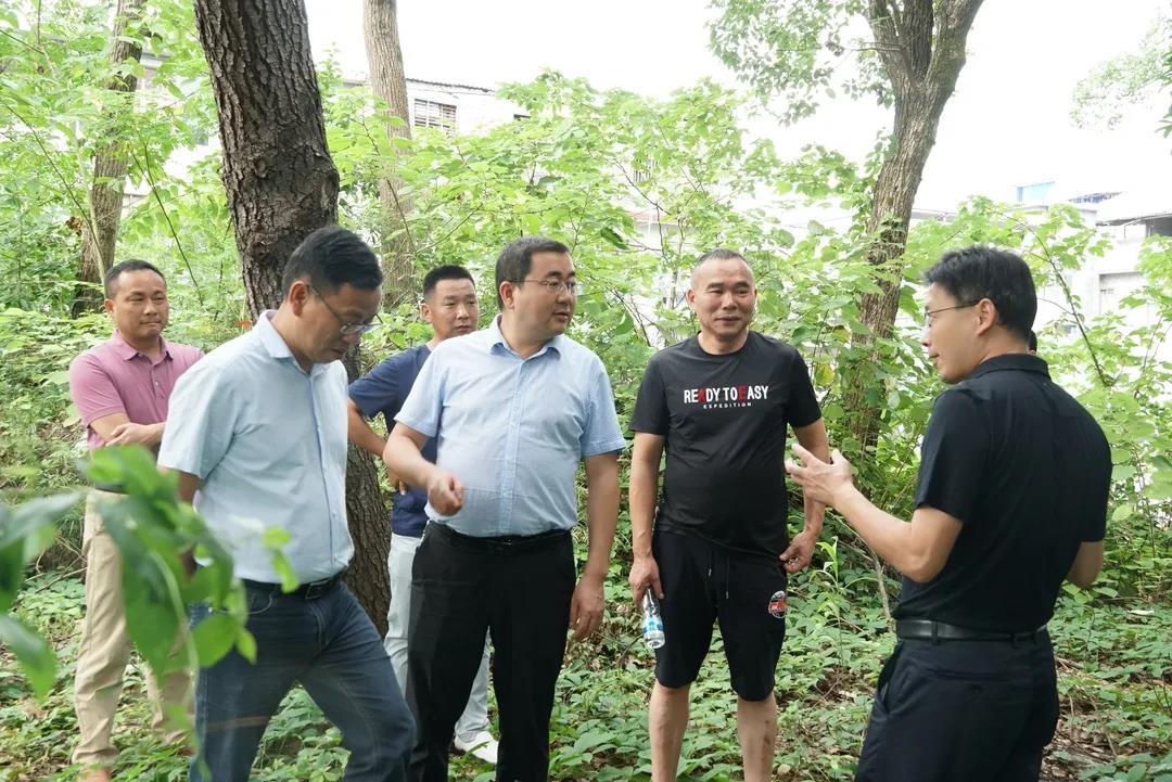 微信圖片_3.jpg 微信圖片_3.jpg